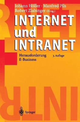 Internet und Intranet: Herausforderung E-Business - cover