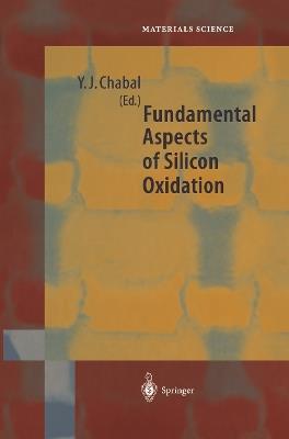 Fundamental Aspects of Silicon Oxidation - cover