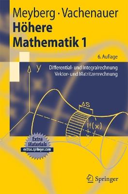 Höhere Mathematik 1: Differential- und Integralrechnung Vektor- und Matrizenrechnung - Kurt Meyberg,Peter Vachenauer - cover