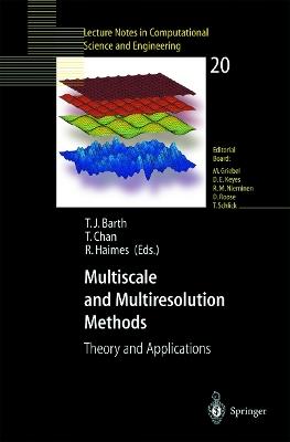 Multiscale and Multiresolution Methods: Theory and Applications - cover
