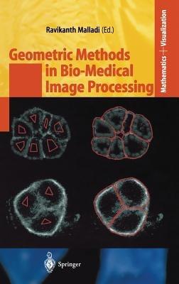 Geometric Methods in Bio-Medical Image Processing - cover