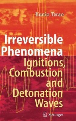 Irreversible Phenomena: Ignitions, Combustion and Detonation Waves - Kunio Terao - cover