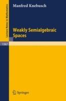 Weakly Semialgebraic Spaces - Manfred Knebusch - cover