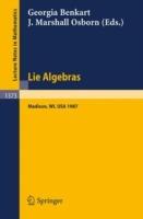 Lie Algebras: Madison 1987. Proceedings of a Workshop held in Madison, Wisconsin, August 23-28, 1987 - cover