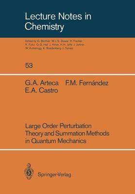 Large Order Perturbation Theory and Summation Methods in Quantum Mechanics - Gustavo A. Arteca,Francisco M. Fernandez,Eduardo A. Castro - cover
