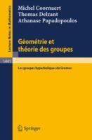 Geometrie et theorie des groupes: Les groupes hyperboliques de Gromov - Michel Coornaert,Thomas Delzant,Athanase Papadopoulos - cover
