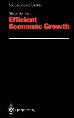 Efficient Economic Growth - Stefan Homburg - cover
