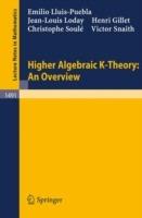 Higher Algebraic K-Theory: An Overview - Emilio Lluis-Puebla,Jean-Louis Loday,Henri Gillet - cover
