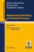Mathematical Modelling of Industrial Processes: Lectures given at the 3rd Session of the Centro Internazionale Matematico Estivo (C.I.M.E.) held in Bari, Italy, Sept. 24-29, 1990 - Stavros Busenberg,Bruno Forte,Hendrik K. Kuiken - cover