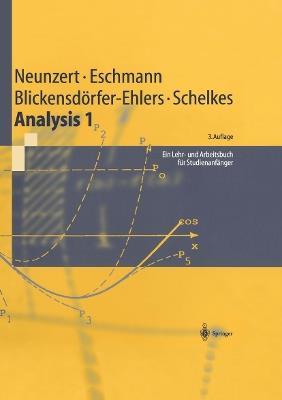 Analysis 1: Ein Lehr- und Arbeitsbuch für Studienanfänger - H Neunzert,Winfried G. Eschmann,Arndt Blickensdörfer-Ehlers - cover