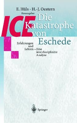 Die ICE-Katastrophe von Eschede: Erfahrungen und Lehren Eine interdisziplinäre Analyse - cover
