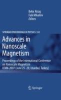 Advances in Nanoscale Magnetism: Proceedings of the International Conference on Nanoscale Magnetism ICNM-2007, June 25 -29, Istanbul, Turkey