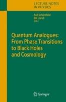 Quantum Analogues: From Phase Transitions to Black Holes and Cosmology - cover