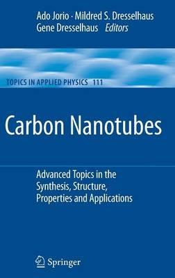 Carbon Nanotubes: Advanced Topics in the Synthesis, Structure, Properties and Applications - cover