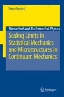 Scaling Limits in Statistical Mechanics and Microstructures in Continuum Mechanics - Errico Presutti - cover
