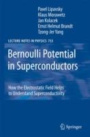Bernoulli Potential in Superconductors: How the Electrostatic Field Helps to Understand Superconductivity - Pavel Lipavsky,Jan Kolácek,Klaus Morawetz - cover