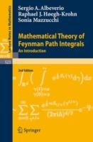 Mathematical Theory of Feynman Path Integrals: An Introduction - Sergio Albeverio,Rafael Høegh-Krohn,Sonia Mazzucchi - cover