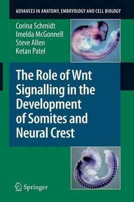 The Role of Wnt Signalling in the Development of Somites and Neural Crest - Corina Schmidt,Imelda McGonnell,Steve Allen - cover