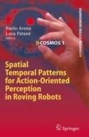 Spatial Temporal Patterns for Action-Oriented Perception in Roving Robots