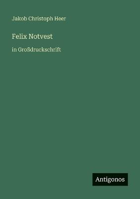 Felix Notvest: in Großdruckschrift - Jakob Christoph Heer - cover