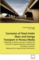 Corrosion of Steel Under Mass and Energy Transport in Porous Media