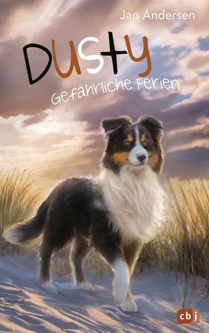 Dusty - Gefährliche Ferien - Jan Andersen - ebook