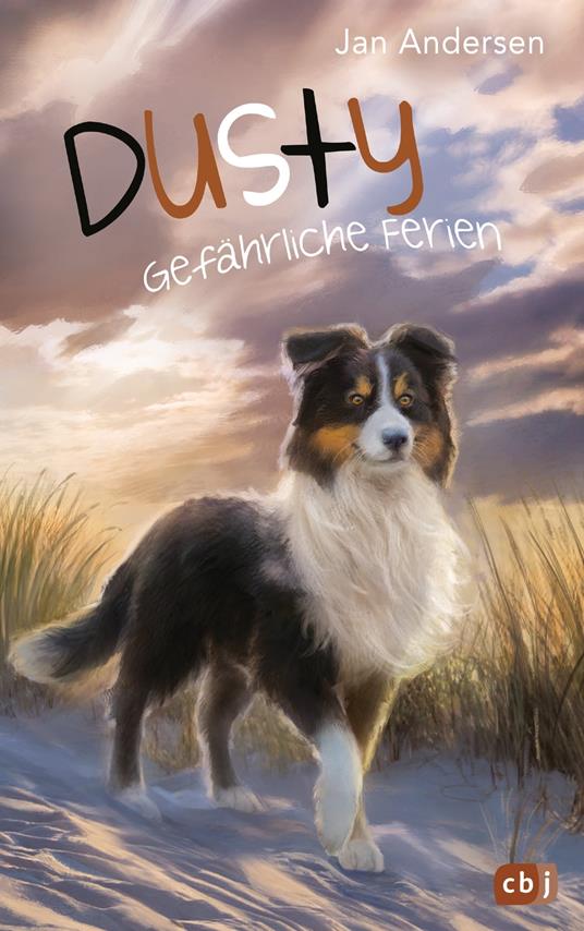 Dusty - Gefährliche Ferien - Jan Andersen - ebook