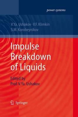 Impulse Breakdown of Liquids - Vasily Y. Ushakov,V. F. Klimkin,S. M. Korobeynikov - cover