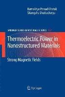 Thermoelectric Power in Nanostructured Materials: Strong Magnetic Fields