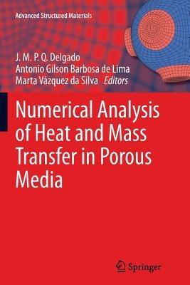 Numerical Analysis of Heat and Mass Transfer in Porous Media - cover