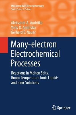 Many-electron Electrochemical Processes: Reactions in Molten Salts, Room-Temperature Ionic Liquids and Ionic Solutions - Aleksandr A. Andriiko,Yuriy O Andriyko,Gerhard E. Nauer - cover