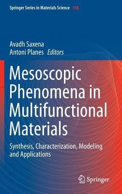 Mesoscopic Phenomena in Multifunctional Materials: Synthesis, Characterization, Modeling and Applications - cover