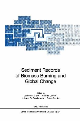 Sediment Records of Biomass Burning and Global Change - cover