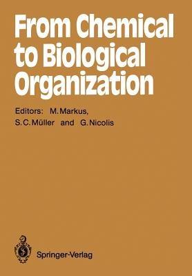 From Chemical to Biological Organization - cover