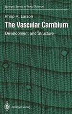 The Vascular Cambium: Development and Structure