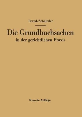 Die Grundbuchsachen in der gerichtlichen Praxis - Arthur Brand,Leo Schnitzler - cover