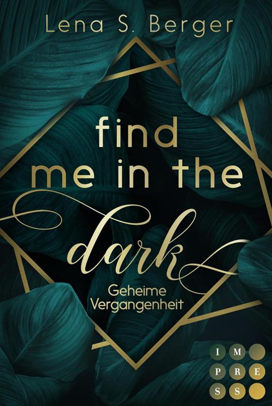 Find Me in the Dark. Geheime Vergangenheit - Lena S. Berger - ebook