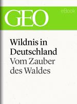Wildnis in Deutschland: Vom Zauber des Waldes (GEO eBook Single)