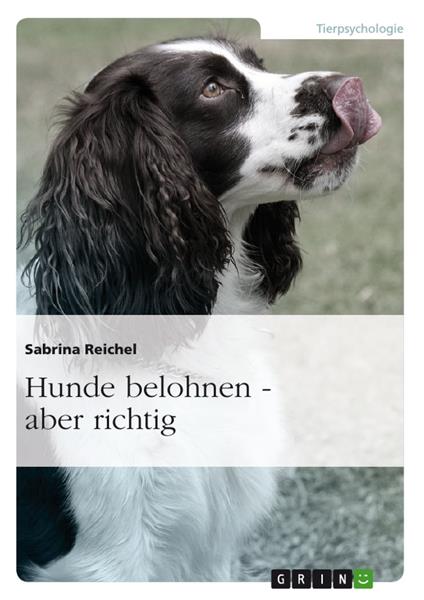Hunde belohnen – aber richtig