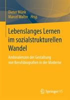 Lebenslanges Lernen im sozialstrukturellen Wandel: Ambivalenzen der Gestaltung von Berufsbiografien in der Moderne
