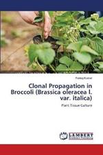 Clonal Propagation in Broccoli (Brassica oleracea l. var. italica)