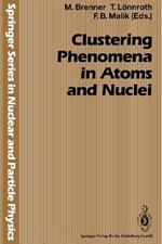 Clustering Phenomena in Atoms and Nuclei: International Conference on Nuclear and Atomic Clusters, 1991, European Physical Society Topical Conference, Åbo Akademi, Turku, Finland, June 3–7, 1991