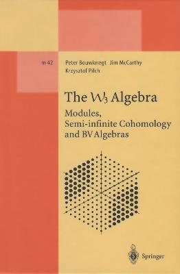 The W3 Algebra: Modules, Semi-infinite Cohomology and BV Algebras - Peter Bouwknegt,Jim McCarthy,Krzysztof Pilch - cover