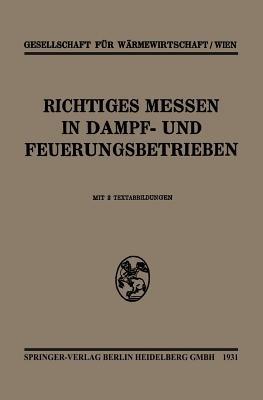 Richtiges Messen In Dampf- und Feuerungsbetrieben - Kenneth A Loparo - cover