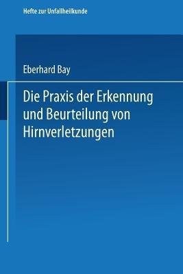Die Praxis der Erkennung und Beurteilung von Hirnverletzungen - Eberhard Bay - cover