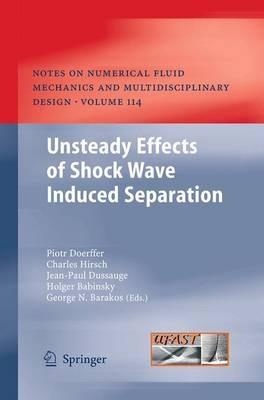 Unsteady Effects of Shock Wave induced Separation - cover