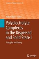 Polyelectrolyte Complexes in the Dispersed and Solid State I: Principles and Theory