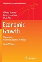 Economic Growth: Theory and Numerical Solution Methods - Alfonso Novales,Esther Fernández,Jesús Ruiz - cover