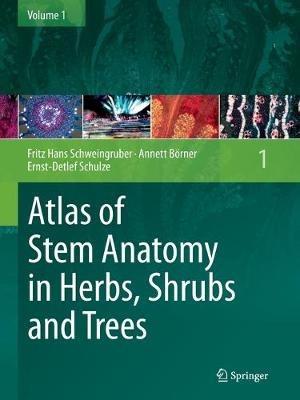 Atlas of Stem Anatomy in Herbs, Shrubs and Trees: Volume 1 - Fritz Hans Schweingruber,Annett Börner,Ernst-Detlef Schulze - cover