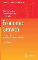 Economic Growth: Theory and Numerical Solution Methods - Alfonso Novales,Esther Fernández,Jesús Ruiz - cover